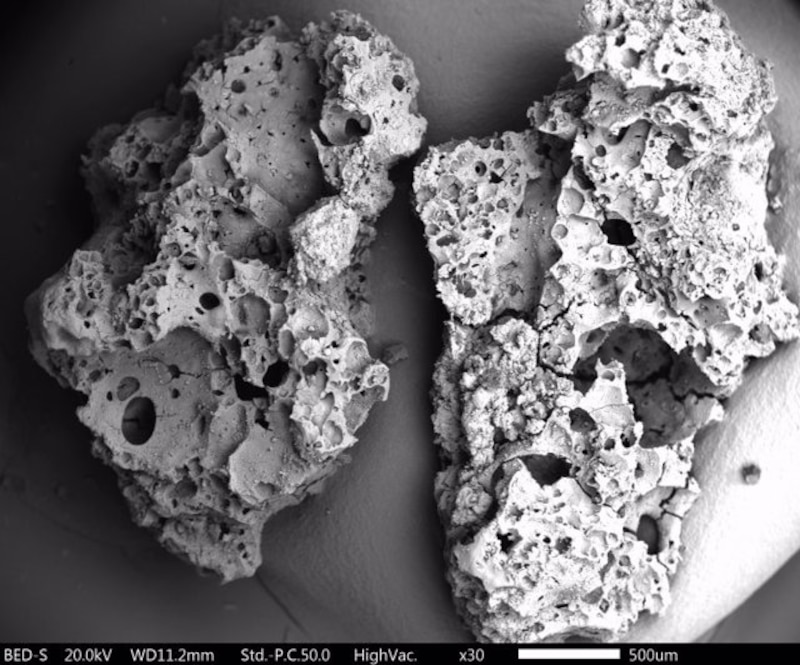 Imagen de microscopio electrónico de barrido de la superficie de una roca