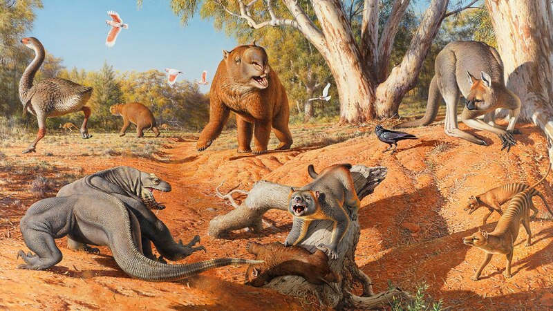 Fauna prehistórica de Australia