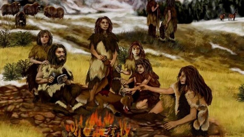 Los primeros humanos