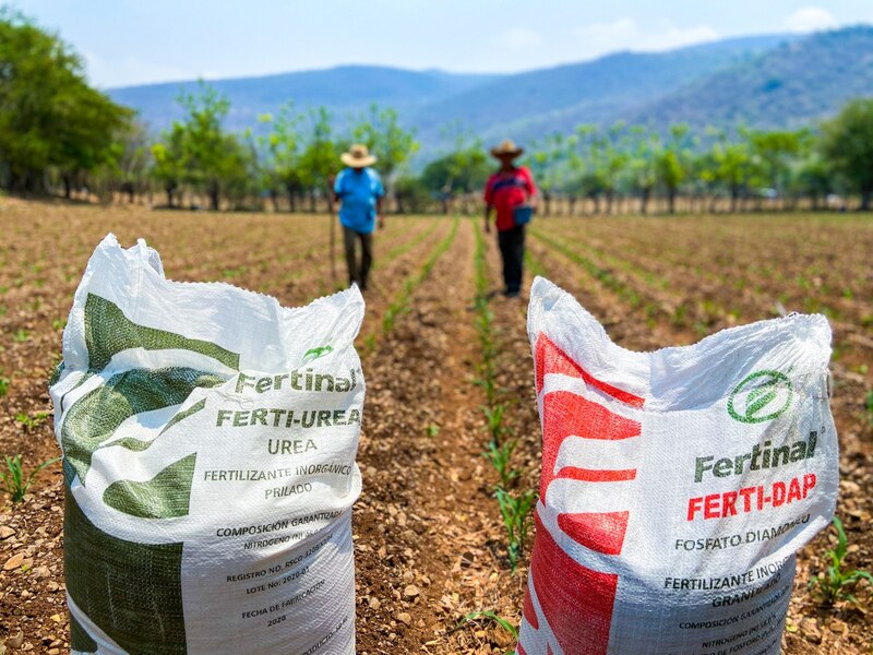 Dos sacos de fertilizante en el campo