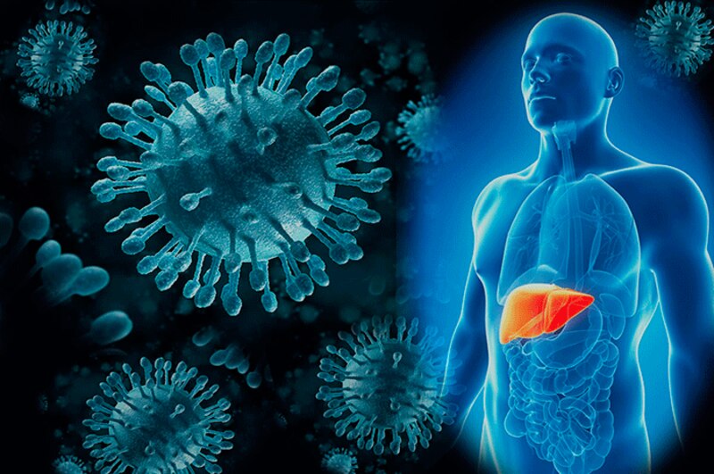 El virus de la hepatitis C y el hígado