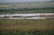 Texcoco suspende temporalmente el suministro de agua en la unidad Las Vegas por mantenimiento
