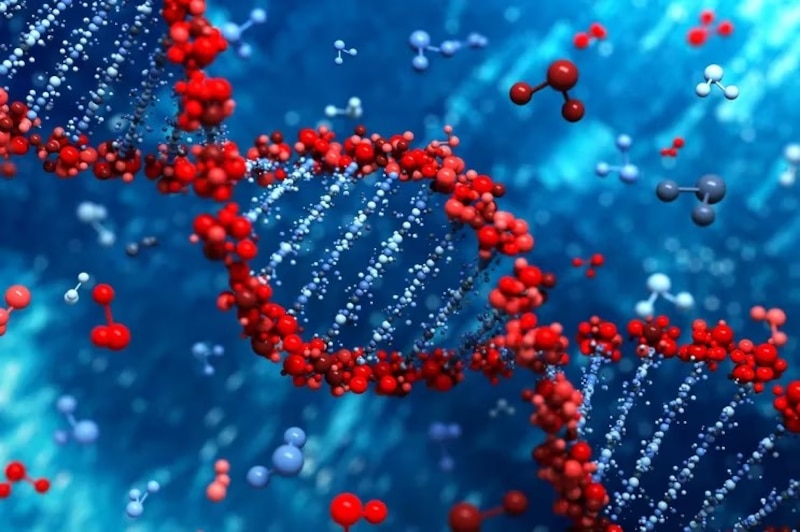 Estructura del ADN
