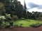 Los jardines botánicos son mucho más que un paseo agradable, son guardianes de la biodiversidad