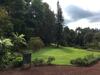Los jardines botánicos son mucho más que un paseo agradable, son guardianes de la biodiversidad