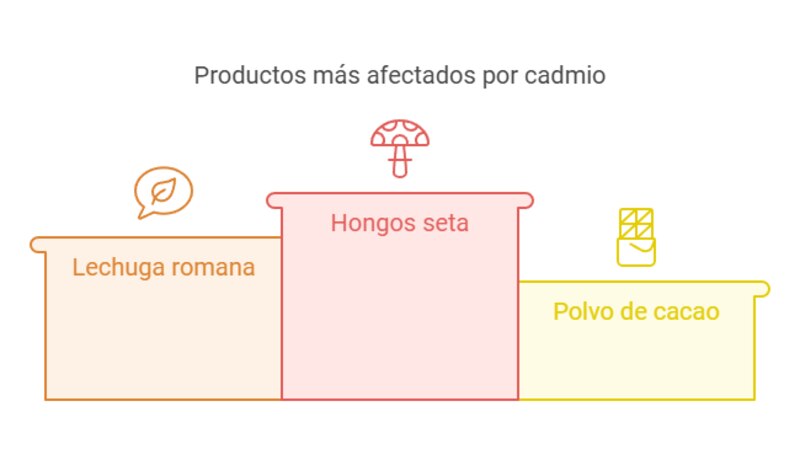 Ilustración destacando alimentos con altas concentraciones de cadmio, incluyendo hongos seta, lechuga romana y cacao en polvo