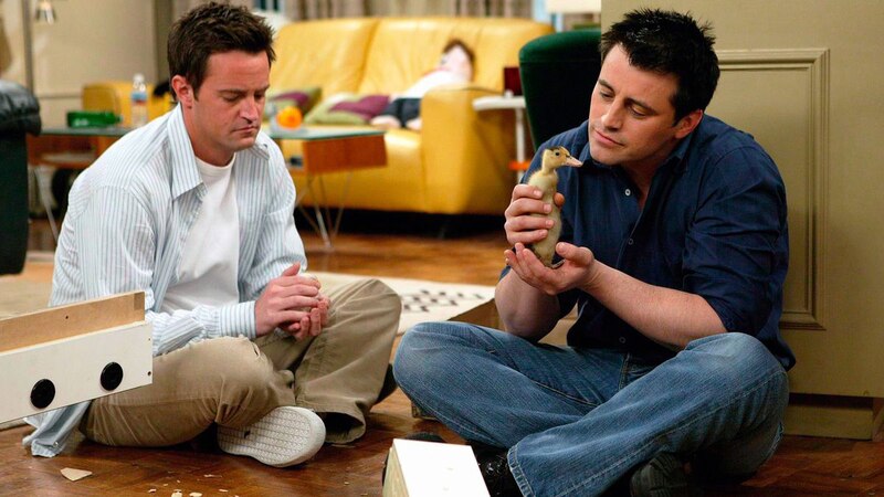 Joey y Chandler con un pato