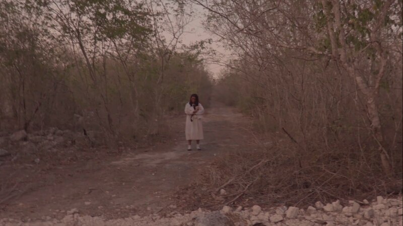 Mujer caminando por un sendero en el bosque