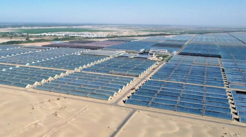 Granja solar en el desierto