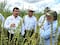 Tamaulipas impulsa proyectos para el fortalecimiento del campo