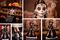 Barbie Día de Muertos 2026: cómo es y cuánto cuesta la nueva muñeca Calavera Catrina de Mattel