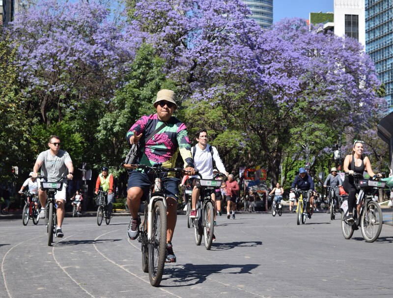 Bicicletas en la ciudad