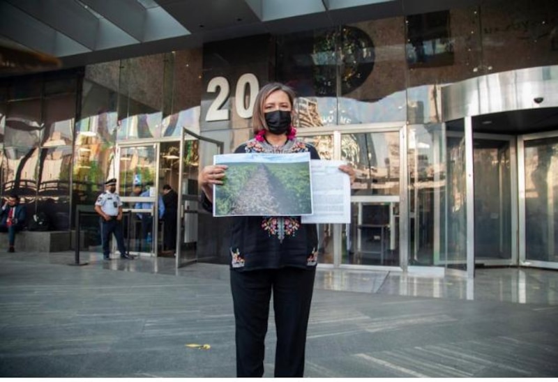 Mujer sostiene un cartel con una imagen de un paisaje natural.