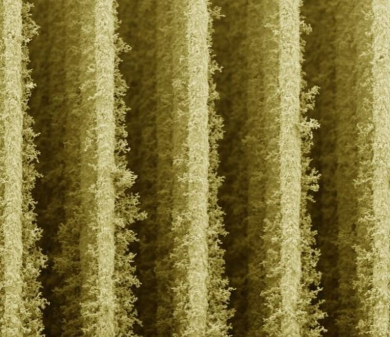 Imagen de microscopio electrónico de barrido de una muestra de polvo