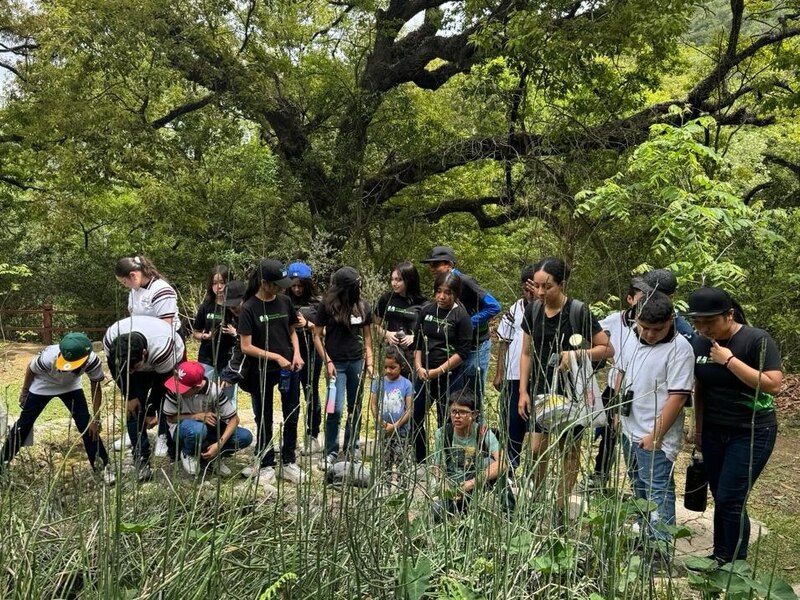 Estudiantes aprendiendo sobre la naturaleza en un bosque