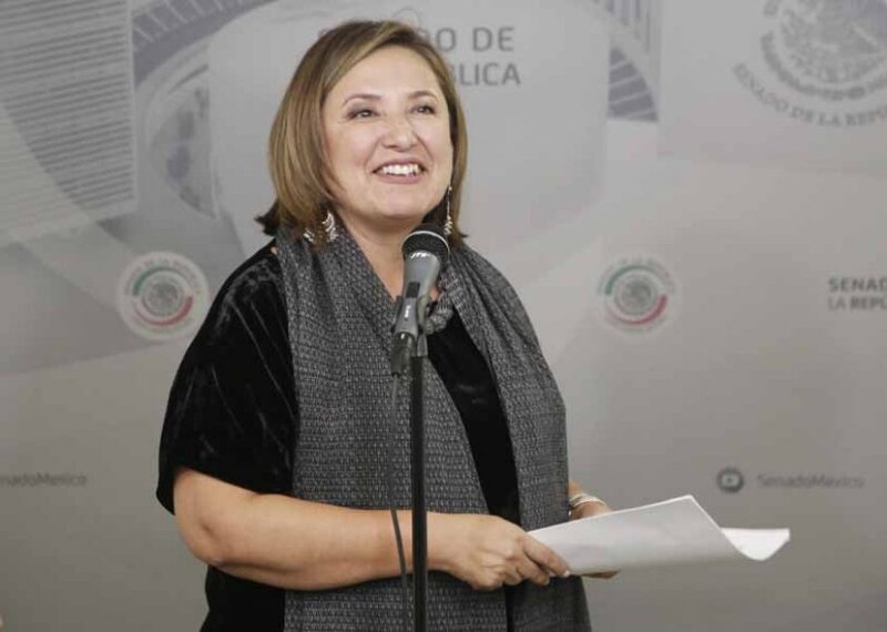 La senadora mexicana Ana Lilia Herrera Anzaldo.
