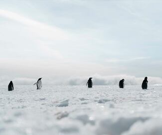 Politécnica investiga en la Antártida calentamiento y colapso climático 