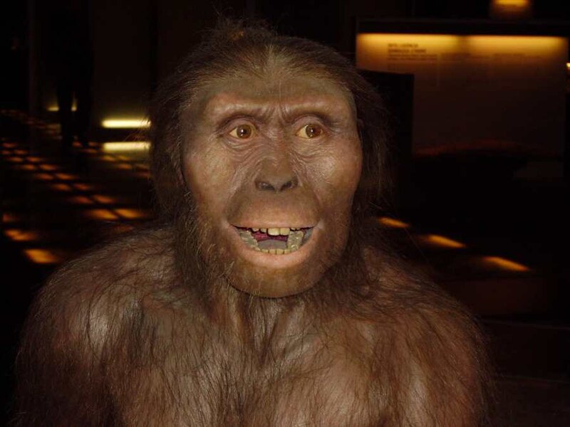 El antepasado humano