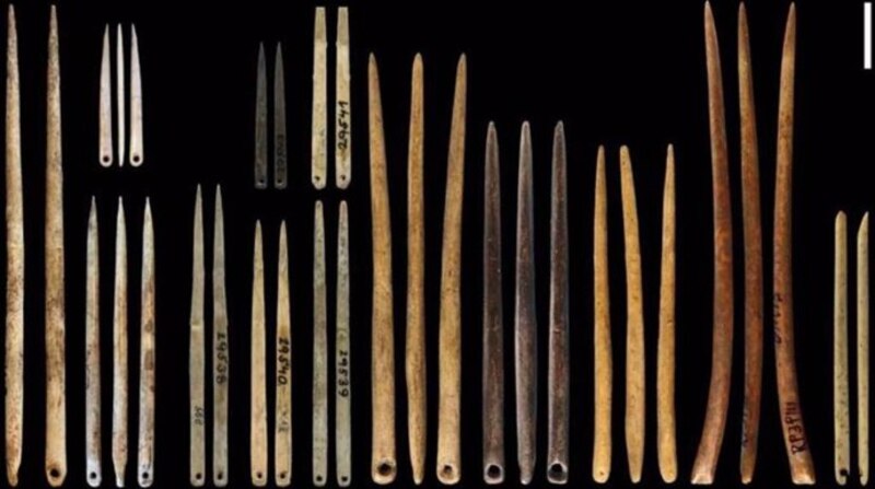 Agujas de hueso prehistóricas