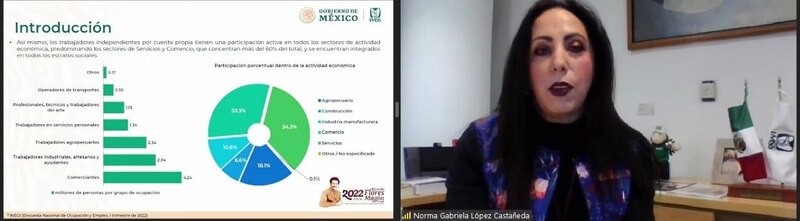 Title: La participación de los trabajadores independientes en la economía mexicana