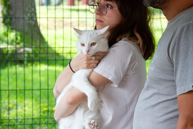 Mujer joven sosteniendo un gato blanco