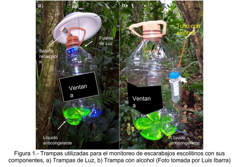 Trampas utilizadas para el monitoreo de escarabajos escolitinos con sus componentes