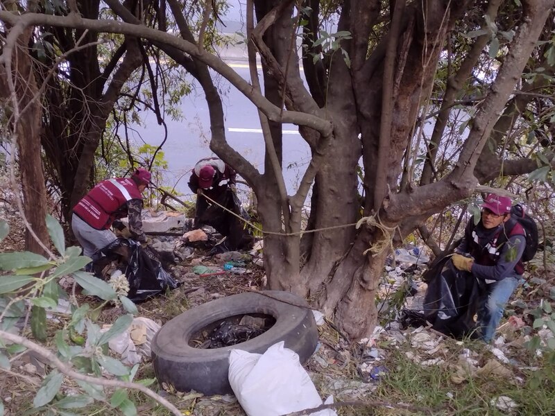 Voluntarios limpian una carretera en México
