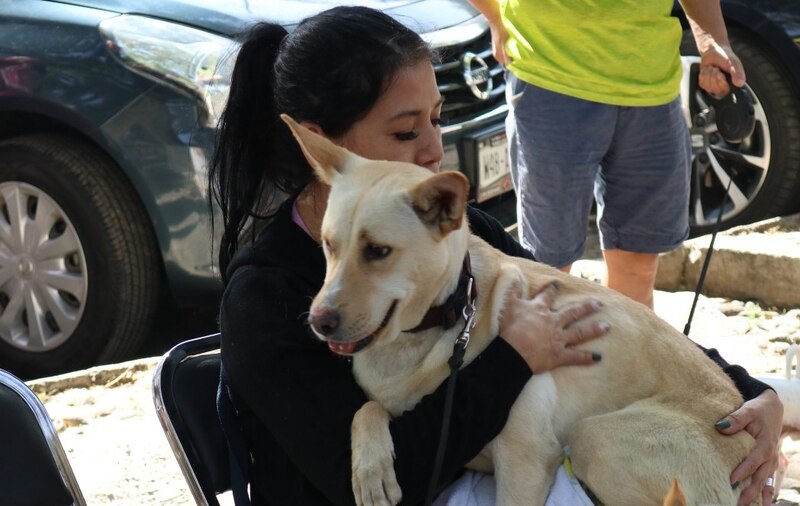 Mujer abrazando a un perro