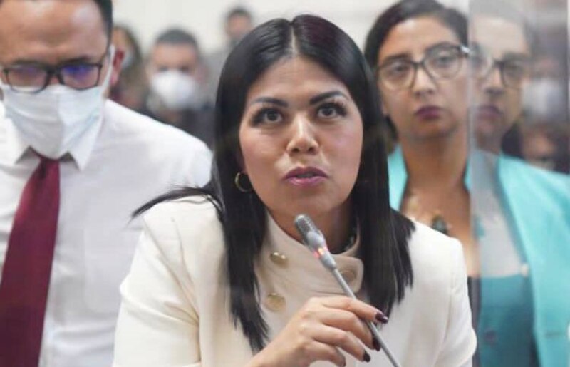 La diputada mexicana María Clemente García Moreno propone un proyecto de ley para despenalizar el aborto en el país.