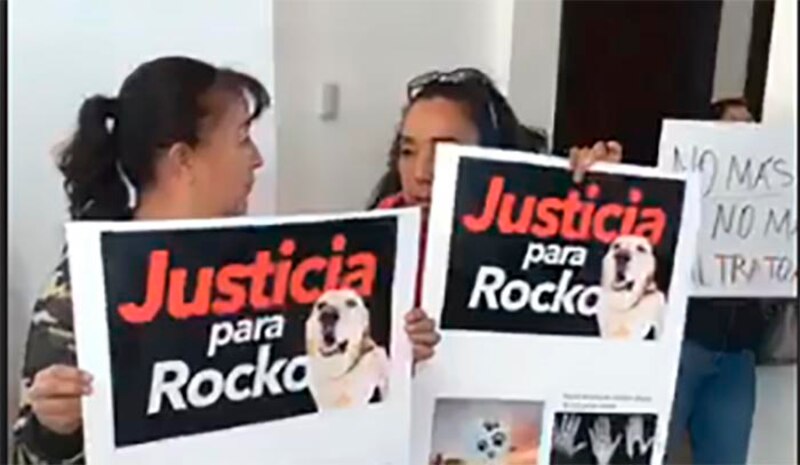 Protesta por la muerte de un perro llamado Rocko