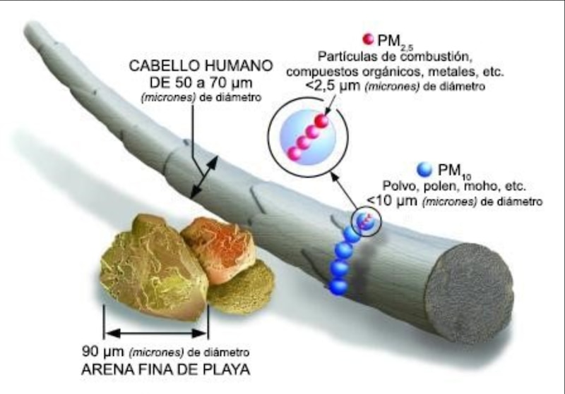 Comparación del tamaño de las partículas