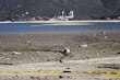 En el futuro la alerta no será por sequías, sino por aridez o desertificación: experto
