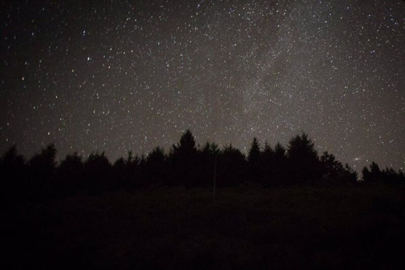 La Vía Láctea sobre un bosque de coníferas