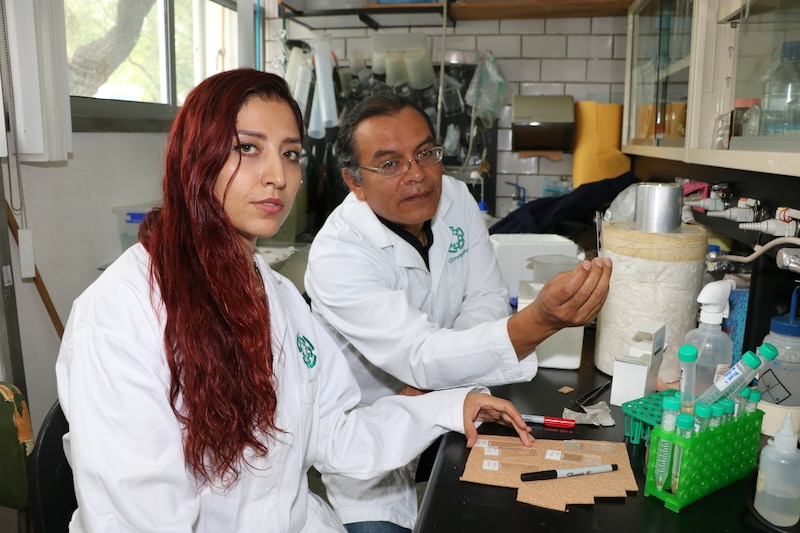 Científicos desarrollan nuevo método para diagnosticar enfermedades pulmonares