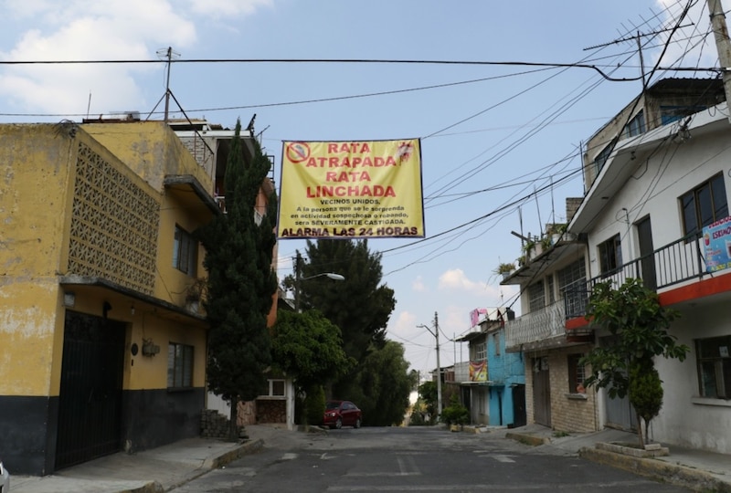 Vecinos se organizan para atrapar ratas