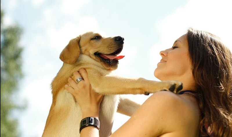 Mujer joven sosteniendo un cachorro en sus brazos