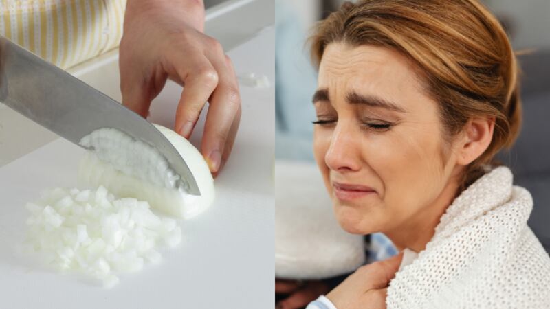 Científicos descubren cómo evitar el llanto al cortar cebollas.