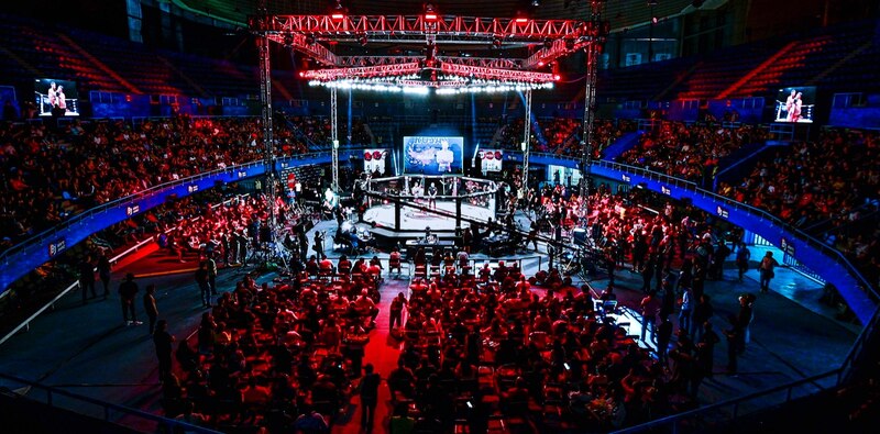 Pelea de artes marciales mixtas