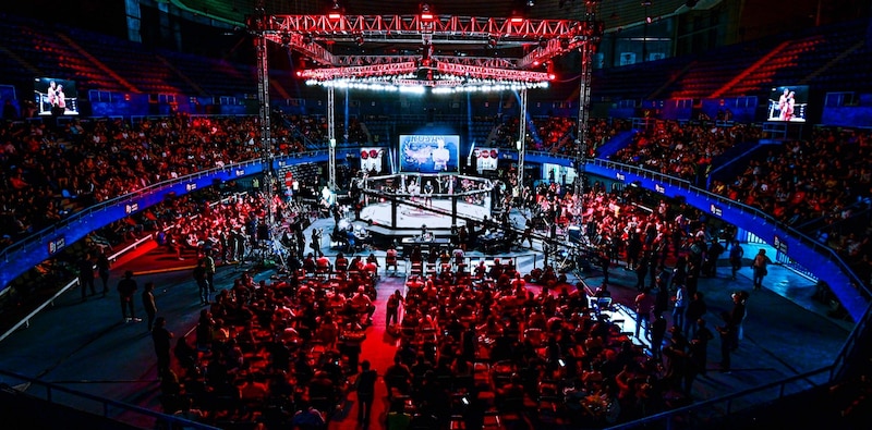 Pelea de artes marciales mixtas