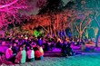 Velada al aire libre: regresa el Picnic Nocturno a Chapultepec