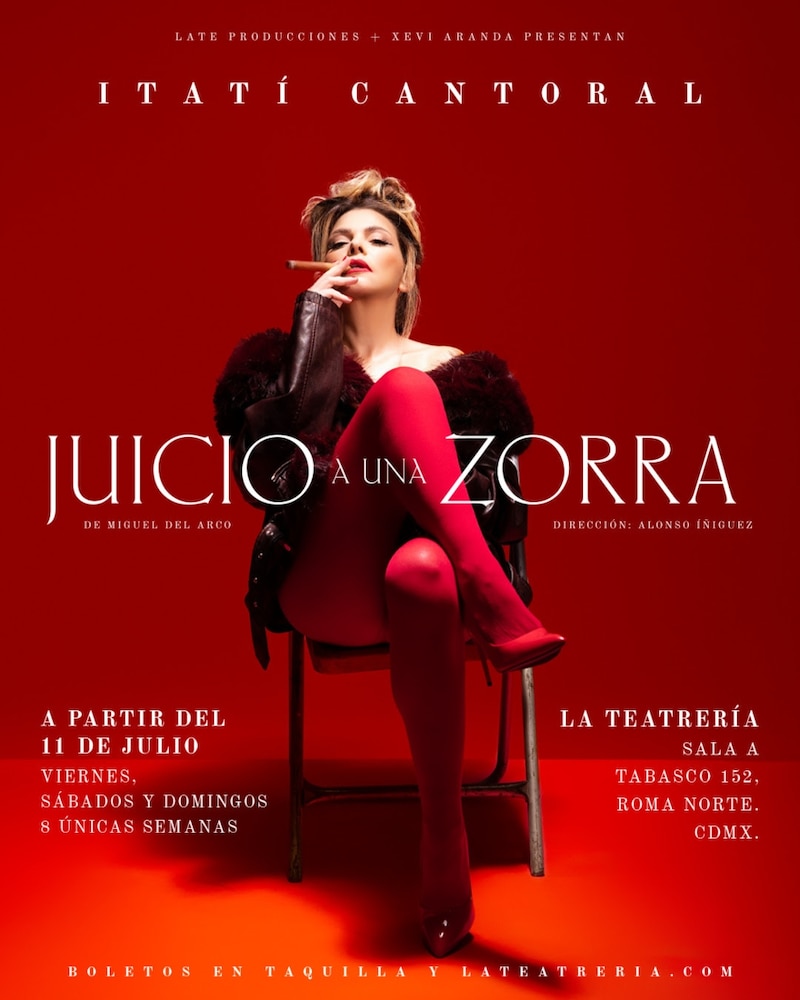 Poster oficial de "Juicio a una zorra"