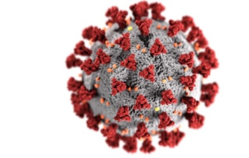 Coronavirus