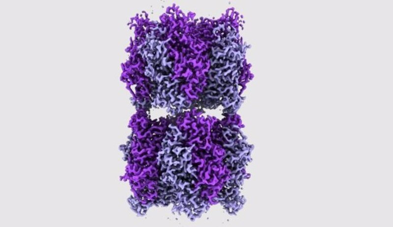 Estructura de la proteína Cas9