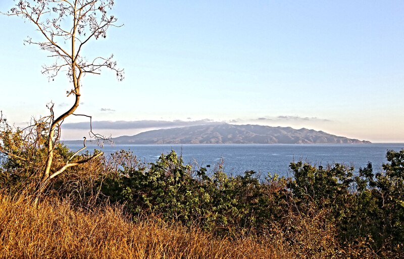 La investigación del equipo proporciona la primera evaluación completa de las plantas vasculares nativas y endémicas de islas marinas en todo el mundo.