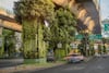 Internet de las plantas: Fernando Ortiz Monasterio explica cómo VIAVERDE transforma la relación entre ciudad y naturaleza