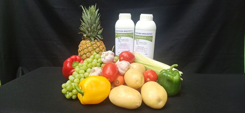 Productos agrícolas frescos y naturales.