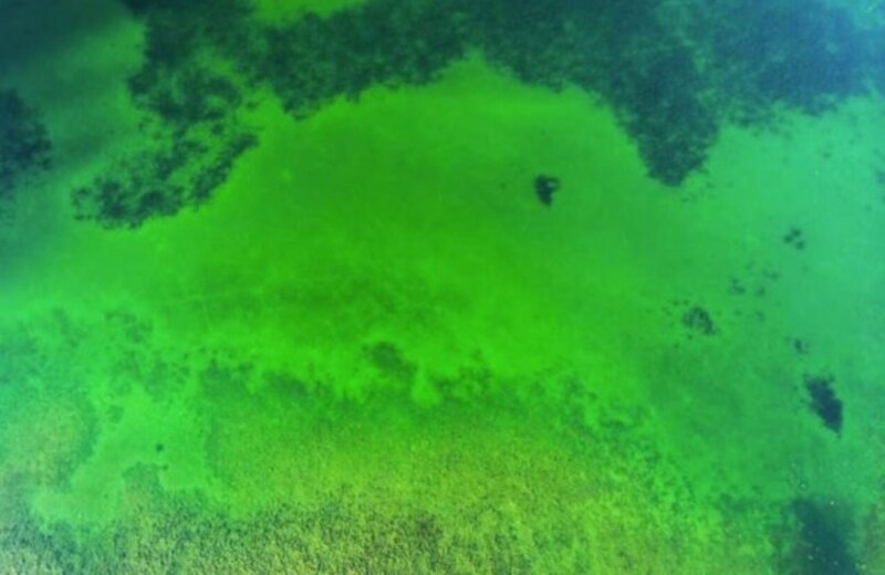 Imagen aérea de agua verde
