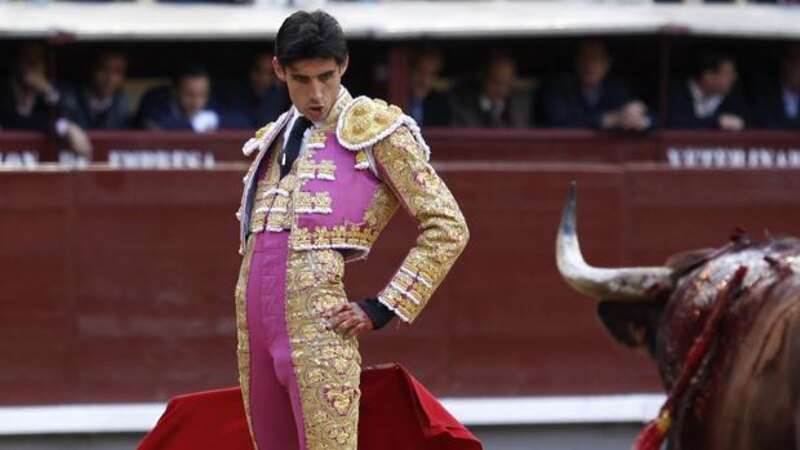 El torero y el toro
