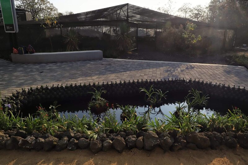 Jardín botánico con estanque y plantas acuáticas