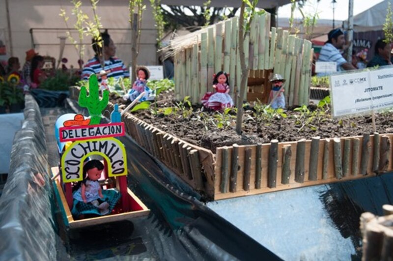 La Delegación Xochimilco